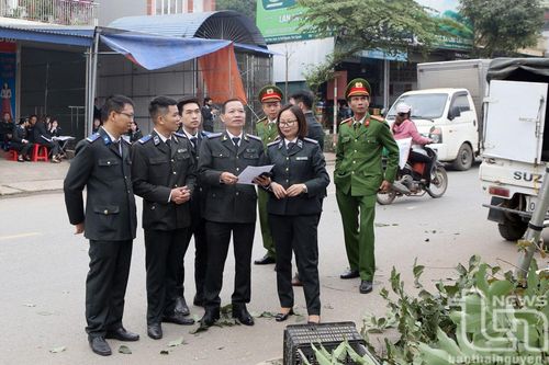 Tổ chức cưỡng chế giao đất cho người được thi hành án