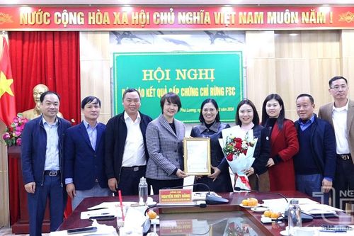 Phú Lương: Trên 7.800ha rừng được cấp chứng chỉ FSC