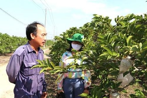 Tăng khả năng cạnh tranh cho HTX