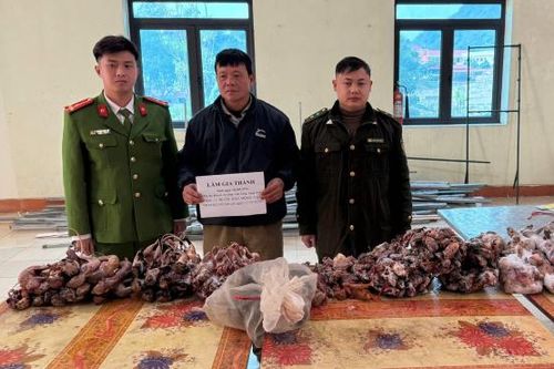 Bắt giữ đối tượng thu mua, tàng trữ trái phép động vật hoang dã