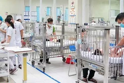 Ăn nhầm lá hoa thủy tiên, hai trẻ nhỏ nhập viện