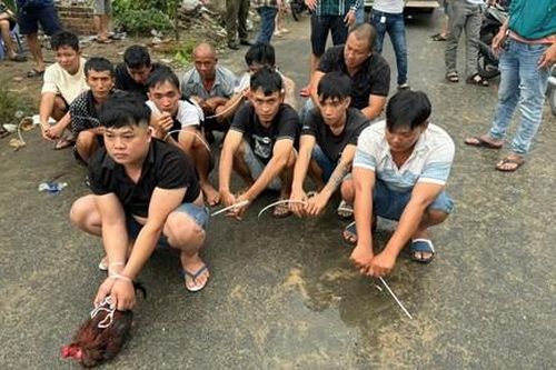 TPHCM: Cảnh sát đột kích trường gà lớn tại Hóc Môn, khống chế 29 đối tượng