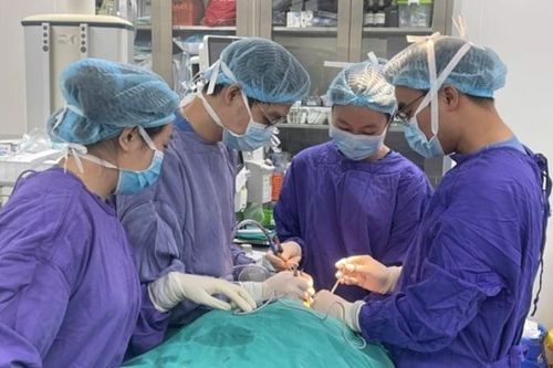 Cụ ông bị chó cắn đứt rời môi