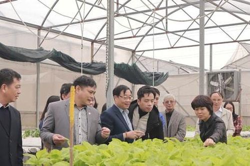 Xã Đa Tốn và xã Yên Thường (huyện Gia Lâm) đạt chuẩn nông thôn mới kiểu mẫu