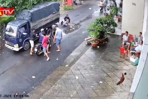 Công an nổ súng đột kích trường gà
