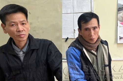 Công an Bắc Kạn liên tiếp phá án ma túy, thu hồi 21 khẩu súng