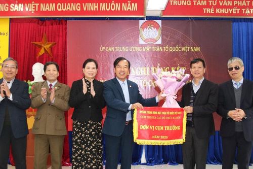 Tổng kết Cụm thi đua các tổ chức xã hội năm 2024