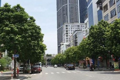 Hà Nội: thí điểm điều chỉnh tổ chức giao thông đường An Trạch, quận Đống Đa