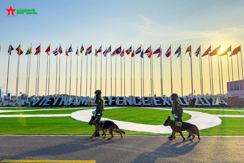 Triển lãm Quốc phòng quốc tế Việt Nam 2024: Sứ mệnh đặc biệt của những 'chiến binh bốn chân'