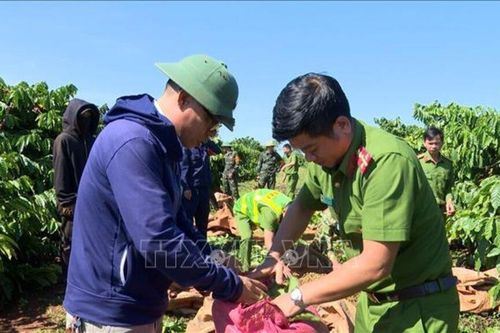 Chủ nhật về làng…