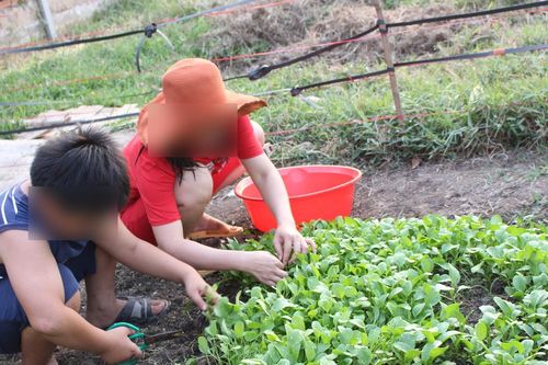 Mẹ hy sinh hạnh phúc riêng, bảo vệ con thoát khỏi bạo hành