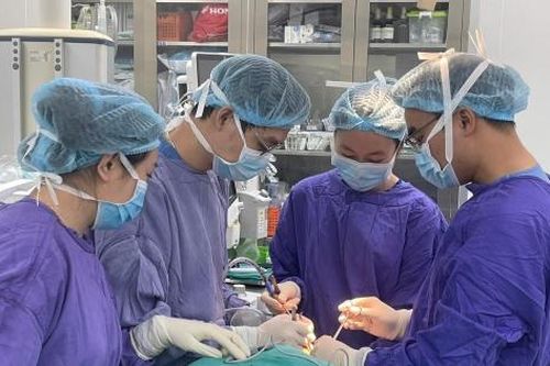 Vá môi cho cụ ông 72 tuổi bị chó cắn