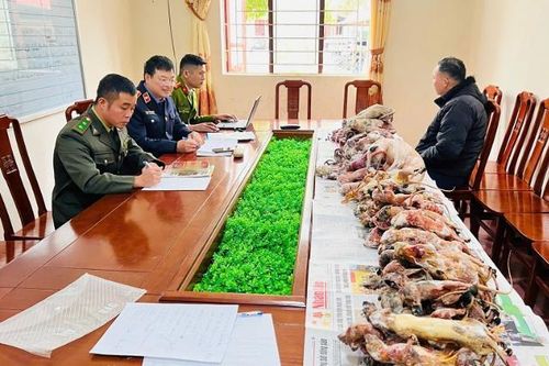 Liên tiếp bắt giữ hai vụ buôn bán động vật hoang dã