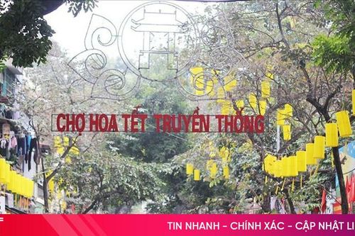 Khám phá những chợ hoa Tết đặc sắc không nên bỏ lỡ mỗi dịp xuân về
