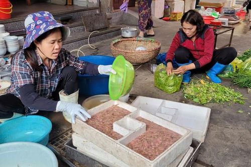 Từng có giá lên tới nửa triệu đồng/kg, 'đặc sản trời cho' bất ngờ rẻ chưa từng có