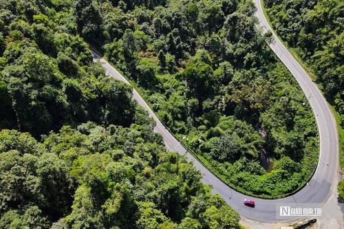 Chiêm ngưỡng 108 khúc cua đẹp như tranh vẽ trên đèo Bảo Lộc