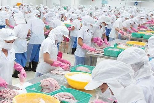 Người nhà Giám đốc Thủy sản Mekong muốn thoái toàn bộ vốn
