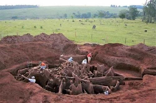 Kiến thông minh đến mức nào? Các nhà khoa học đổ 10 tấn xi măng vào tổ kiến, sau khi đào ra, họ phát hiện ra một 'đế chế dưới lòng đất' sâu 8m