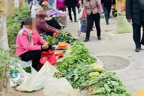 Rau của nông dân bán trên đường vừa rẻ vừa tươi, vậy tại sao nhiều người vẫn đến siêu thị? Lý do rất thực tế