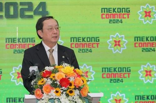 Liên kết với TPHCM là 'chìa khóa' để vùng Đồng bằng sông Cửu Long vượt qua các thách thức