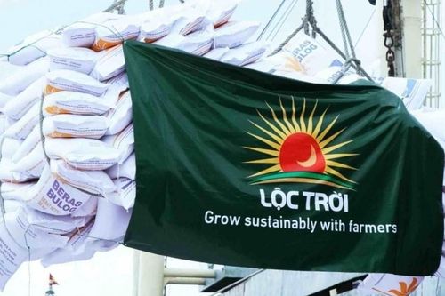 Thiếu ứng viên vào ban kiểm soát, Tập đoàn Lộc Trời lùi ngày tổ chức Đại hội đồng cổ đông bất thường
