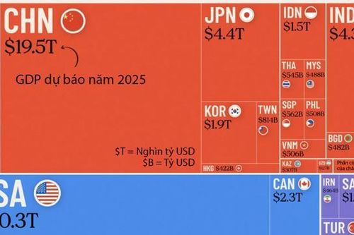 Dự báo quy mô nền kinh tế toàn cầu năm 2025, Việt Nam đứng thứ 33