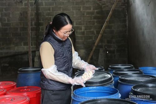 Hợp tác xã sản xuất kinh doanh dịch vụ nông nghiệp Xuất Lễ: Nâng tầm sản phẩm rượu truyền thống