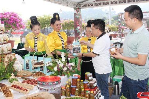 Nông sản an toàn Sơn La sẵn sàng phục vụ Tết Nguyên đán