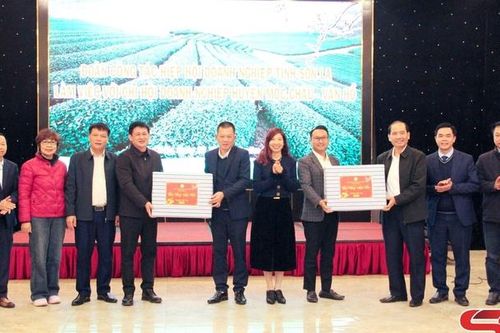 Hiệp hội Doanh nghiệp tỉnh làm việc với Chi hội Doanh nghiệp Mộc Châu