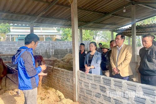 Tổng kết mô hình Hội Nông dân ứng dụng công nghệ sinh học xử lý nước thải, chất thải trong chăn nuôi tại xã Lang Quán