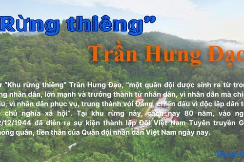 'Rừng thiêng' Trần Hưng Đạo