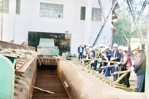 Công ty cổ phần Mía đường Sơn Dương bắt đầu niên vụ sản xuất 2024-2025