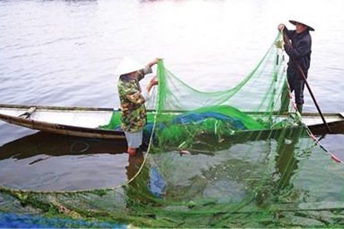 Đẩy lùi tình trạng đánh bắt thủy sản mang tính hủy diệt