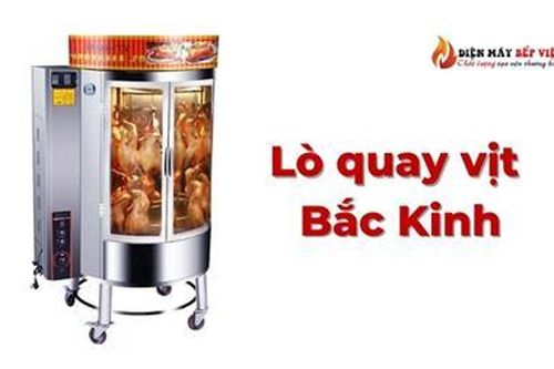 Lò quay vịt, gà Inox dùng điện gas chính hãng, giá tốt