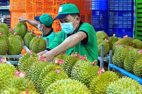 Chủ tịch Hoàng Anh Gia Lai (HAG): 10 năm nữa Trung Quốc mới tự cung được sầu riêng