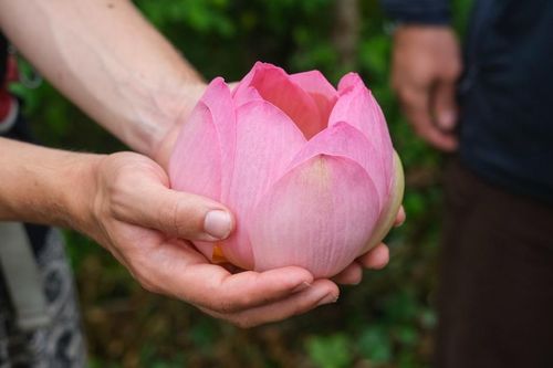 Hạnh phúc trong tầm tay