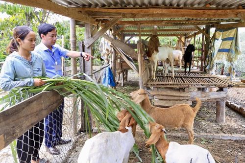 Tín dụng chính sách xã hội - trụ đỡ hợp 'Ý Đảng – Lòng Dân' (Bài 3)
