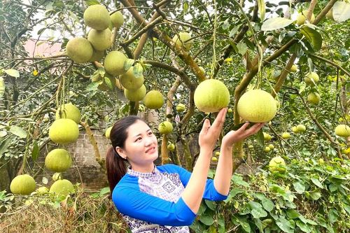 Nữ thủ lĩnh đoàn tiên phong (Bài 1)