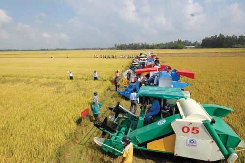 Rào cản đầu tư vào nông nghiệp: Những nút thắt cần tháo gỡ