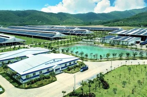 Phát triển xanh, bền vững – Xu hướng mới của doanh nghiệp