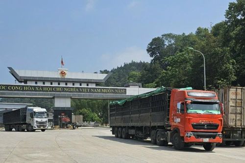 Cửa khẩu quốc tế Trà Lĩnh thu thuế xuất nhập khẩu đạt hơn 91,1 tỷ đồng