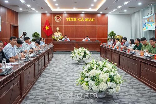 Hội nghị trực tuyến tổng kết công tác văn hóa, thể thao và du lịch năm 2024