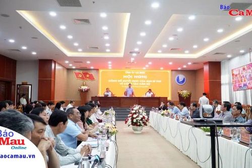 Cà Mau: Thực hiện đạt và vượt 16/18 chỉ tiêu Nghị quyết Tỉnh ủy