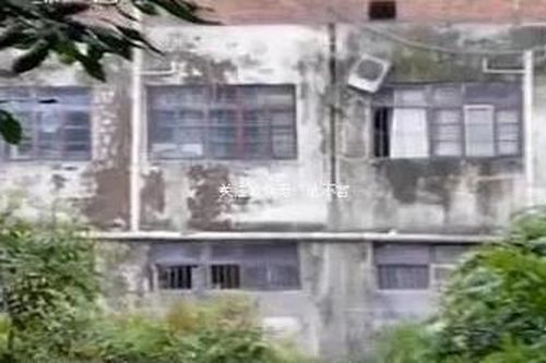 Kỳ 3: Bị sát hại trong ngày khai giảng: Thi thể dưới mương nước