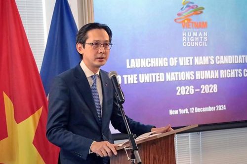 Việt Nam cam kết thúc đẩy thực hiện các mục tiêu chung của UNHRC