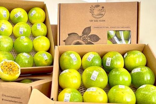 Đàm phán xuất khẩu trái chanh leo Việt Nam sang Hoa Kỳ