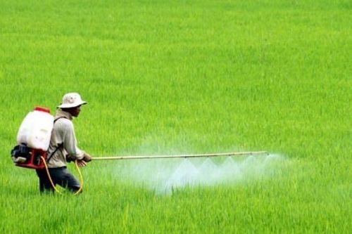 Tăng cường sức khỏe cây trồng, nâng cao khả năng phòng chống sinh vật gây hại