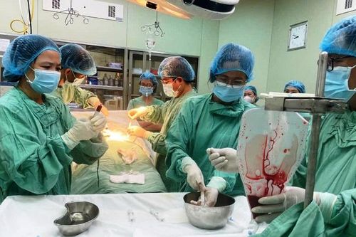 Thêm hai ca ghép tủy đồng loại thành công tại Bệnh viện Trung ương Huế