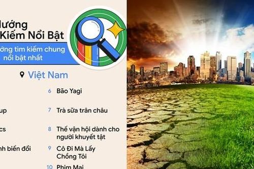 Thấy gì từ hiện tượng lạ trong 'Top 10' từ khóa được người Việt tìm kiếm nhiều nhất năm nay?