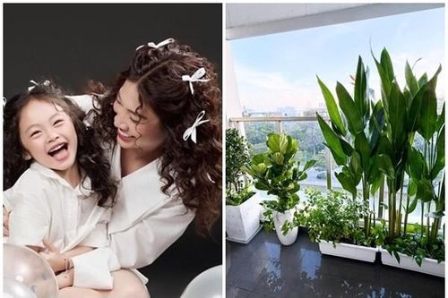 Hé lộ cơ ngơi to đồ sộ trong khu nhà giàu của Pha Lê